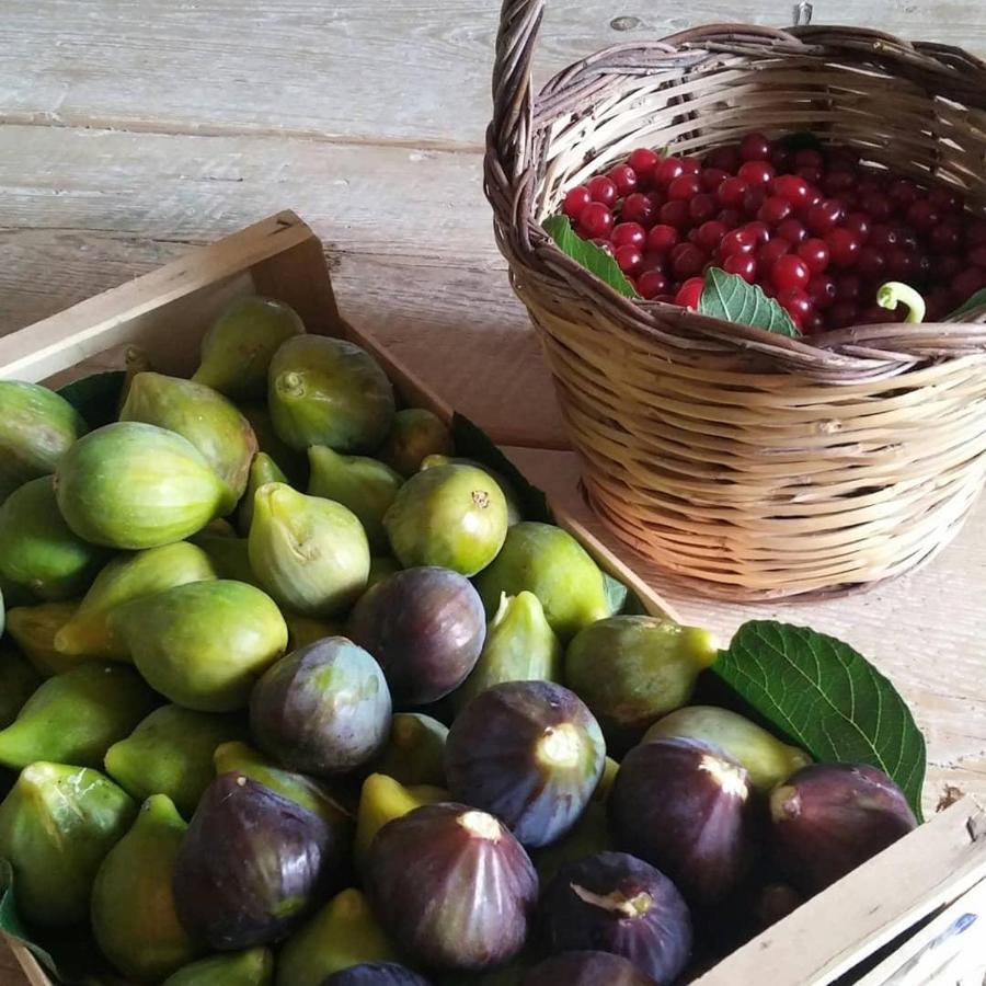 Masseria Celano Grottaglie Εξωτερικό φωτογραφία